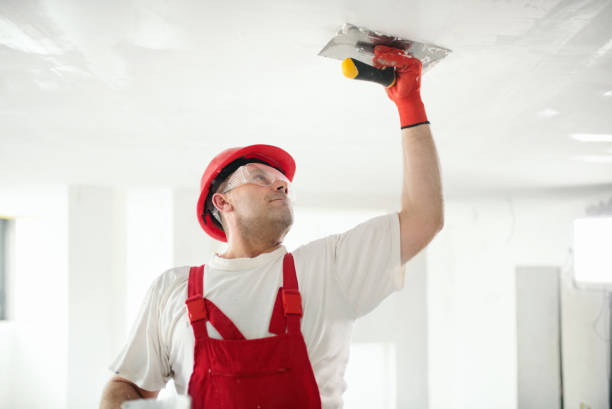 Trusted Twin Lakes, VA Mold Removal Experts